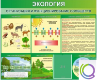 Стенд "Экология. Организация и функционирование сообществ" - «globural.ru» - Нижняя Тура