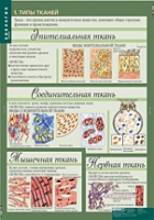 Биология 8-9 класс. Человек. (комплект таблиц) - «globural.ru» - Нижняя Тура