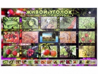 Комплект оборудования "Живой уголок" (растения) с тифлопереводом и сурдокомментариями - «globural.ru» - Нижняя Тура