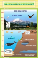 Стенд "Строение биосферы" - «globural.ru» - Нижняя Тура