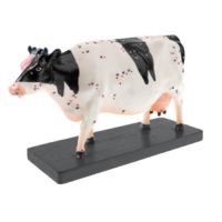 Электрифицированный макет коровы на каркасе - «globural.ru» - Нижняя Тура