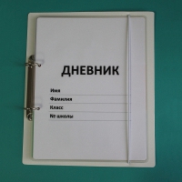 Дневник школьника (с полным набором карточек) - «globural.ru» - Нижняя Тура
