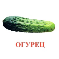 Карточки Домана "Овощи-Зелень-1" - «globural.ru» - Нижняя Тура