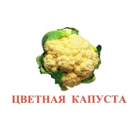 Карточки Домана "Овощи-Зелень-2" - «globural.ru» - Нижняя Тура