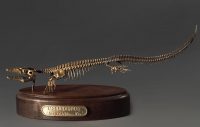 Модель скелета мозазавра Mosasaurus - «globural.ru» - Нижняя Тура