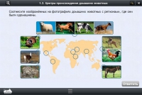 Интерактивные курсы. Биология 7 класс. Расширенный - «globural.ru» - Нижняя Тура