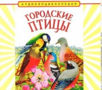 CD "Аудиоэнциклопедия. Городские птицы" - «globural.ru» - Нижняя Тура