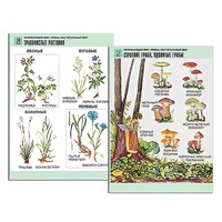 Комплект таблиц для начальной школы "Окружающий мир. Грибы. Растительный мир" - «globural.ru» - Нижняя Тура
