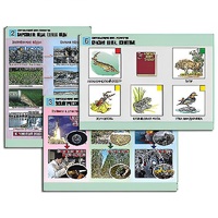 Комплект таблиц для  начальной школы "Окружающий мир. Экология" - «globural.ru» - Нижняя Тура