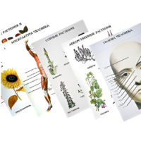 Таблицы по природоведению 1-3 класс - «globural.ru» - Нижняя Тура