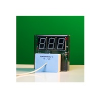 Датчик температуры с независимой индикацией (термометр демонстрационный) - «globural.ru» - Нижняя Тура