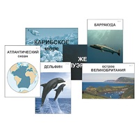 Модель-аппликация "Океаны. Знакомство" (ламинированная) - «globural.ru» - Нижняя Тура