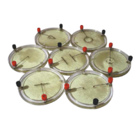 Демонстрационный комплект «Силовые линии электрического поля разных систем зарядов» - «globural.ru» - Нижняя Тура