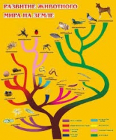 Стенд "Развитие животного мира на земле" - «globural.ru» - Нижняя Тура