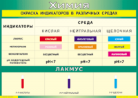 Таблица Окраска индикаторов в различных средах 1000*1400 винил - «globural.ru» - Нижняя Тура