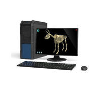 Макет масштабный «Скелет Коровы» Масштаб 1:2 - «globural.ru» - Нижняя Тура