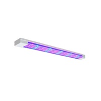 Фитолампа - «globural.ru» - Нижняя Тура