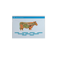 Стенд-планшет светодинамический "Изучение нервной системы сельскохозяйственных животных" со сменными панелями - «globural.ru» - Нижняя Тура