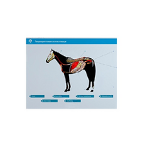 Стенд-планшет светодинамический "Изучение пищеварительной системы сельскохозяйственных животных" со сменными панелями - «globural.ru» - Нижняя Тура