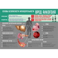 Стенд "Алкоголь" - «globural.ru» - Нижняя Тура