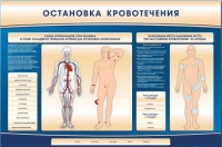 Электрифицированный стенд-тренажер "Остановка кровотечения" - «globural.ru» - Нижняя Тура