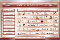 Трехсекционный базовый комплект "Травмы. Кровотечения. Ожоги" для учащихся общеобразовательных учреждений - «globural.ru» - Нижняя Тура