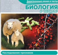 CD "Биология в школе. Наследование признаков" (электронные уроки и тесты) - «globural.ru» - Нижняя Тура
