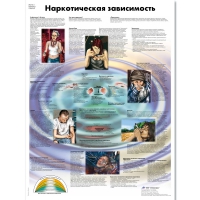 Плакат "Наркотическая зависимость", ламинированный, 50*67 см - «globural.ru» - Нижняя Тура