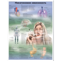 Плакат "Никотиновая зависимость", ламинированный, 50*67 см - «globural.ru» - Нижняя Тура