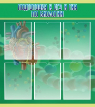 Стенд "Подготовка к ЕГЭ и ОГЭ по биологии" (вариант 1) - «globural.ru» - Нижняя Тура