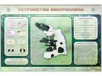 Электрифицированный стенд "Устройство микроскопа и правила работы c ним" - «globural.ru» - Нижняя Тура