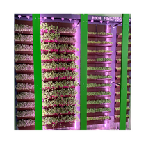 Вертикальная ферма "Моя Микрозелень" комплектация Школьная - «globural.ru» - Нижняя Тура