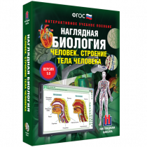 Наглядная биология. Человек. Строение тела человека - «globural.ru» - Нижняя Тура