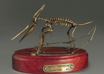 Модель скелета птерозавра Pteranodon - «globural.ru» - Нижняя Тура