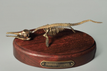 Модель скелета ихтиозавра Ichthyosaurus - «globural.ru» - Нижняя Тура