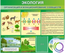 Стенд "Экология. Организация и функционирование сообществ" - «globural.ru» - Нижняя Тура