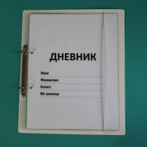 Дневник школьника (с полным набором карточек) - «globural.ru» - Нижняя Тура
