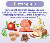 Стенд "Витамин В" - «globural.ru» - Нижняя Тура