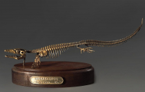 Модель скелета мозазавра Mosasaurus - «globural.ru» - Нижняя Тура