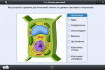 Интерактивные курсы. Биология 9 класс. Базовый - «globural.ru» - Нижняя Тура