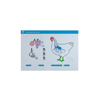 Стенд-планшет светодинамический "Изучение органов дыхания сельскохозяйственных животных" со сменными панелями - «globural.ru» - Нижняя Тура