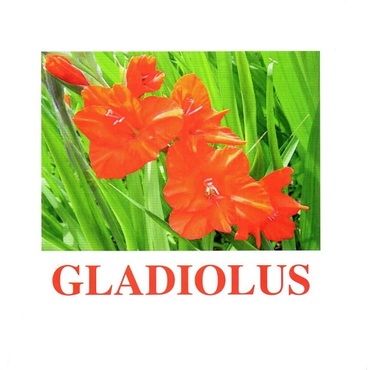 "Flowers-1" ("Цветы-1") английские карточки Домана - «globural.ru» - Нижняя Тура