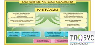Стенд "Методы селекции и биотехнологии" - «globural.ru» - Нижняя Тура