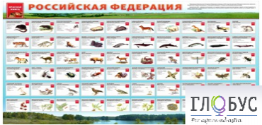 Стенд "Красная книга РФ" - «globural.ru» - Нижняя Тура