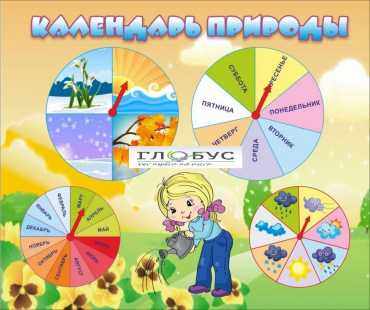 Стенд "Календарь природы" (вариант 1) - «globural.ru» - Нижняя Тура