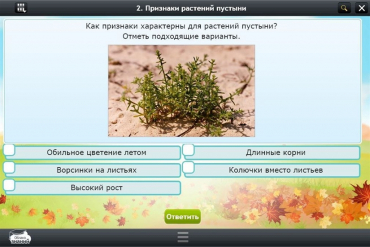 Интерактивные курсы. Окружающий мир 3 класс. Базовый - «globural.ru» - Нижняя Тура