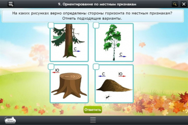 Интерактивные курсы. Окружающий мир 1 класс. Базовый - «globural.ru» - Нижняя Тура