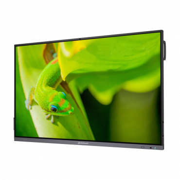 Интерактивный программно-аппаратный комплекс Geckotouch Interactive IP86GT-С  в комплекте с настенным креплением - «globural.ru» - Нижняя Тура